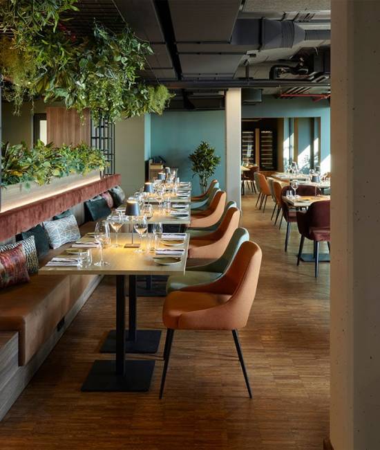 Modern eingerichtetes Restaurant mit eingedeckten Tischen, gemütlichen Sitzmöbeln und üppiger Grünpflanzen-Gestaltung.